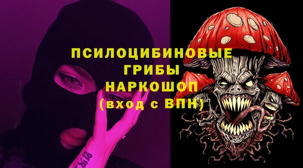 дурь Арсеньев