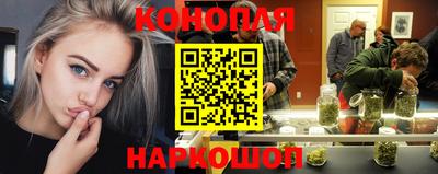 не бодяженный Гай