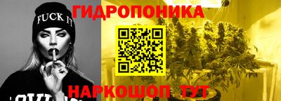 молекула духа Гатчина