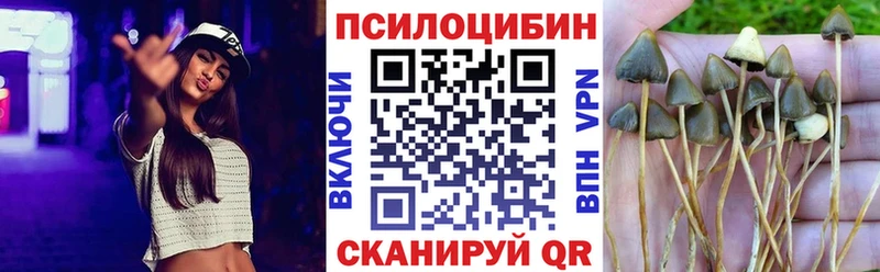 hydra маркетплейс  Мурманск  Псилоцибиновые грибы Cubensis 